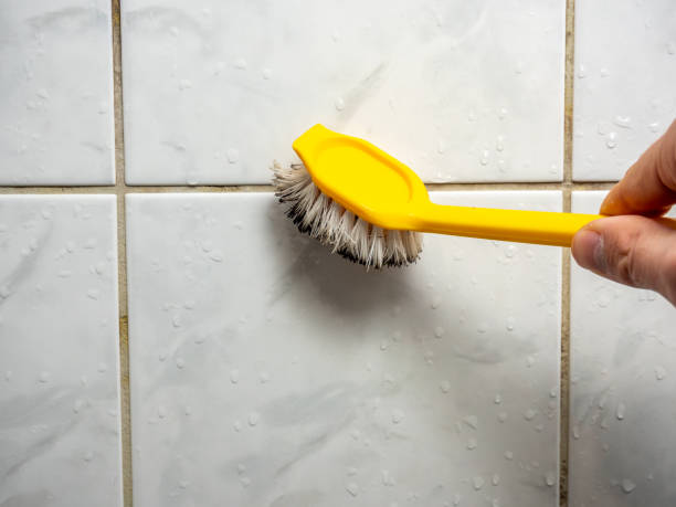 Best Fast Mold Removal  in Walker Valley, NY