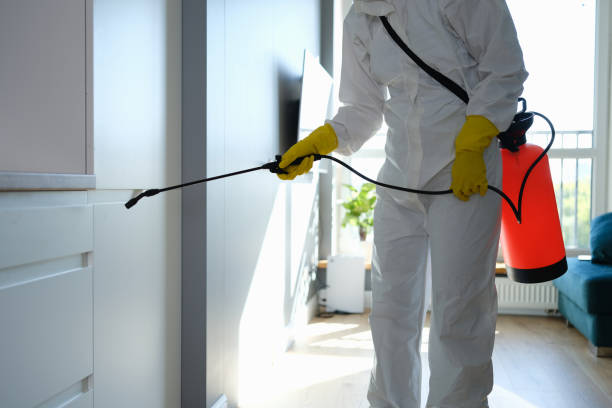 Best Mold Damage Repair  in Walker Valley, NY